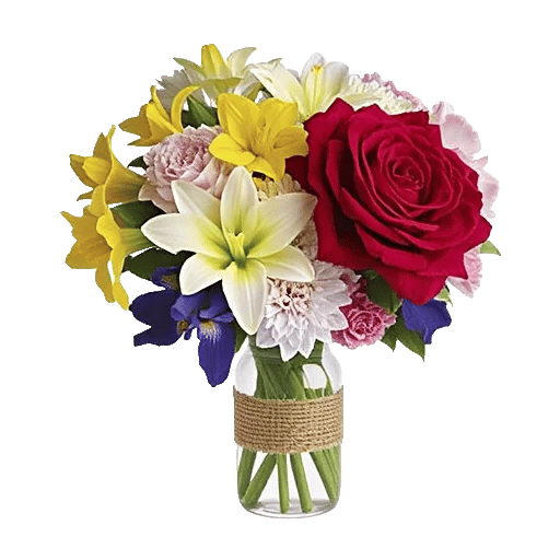 Crimson Blossom Harmony