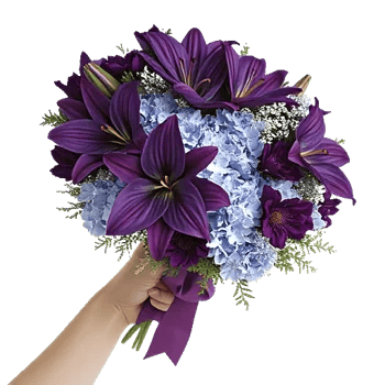 Serene Petal Harmony