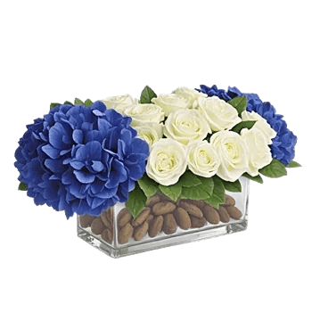 Sapphire Bloom Whisper