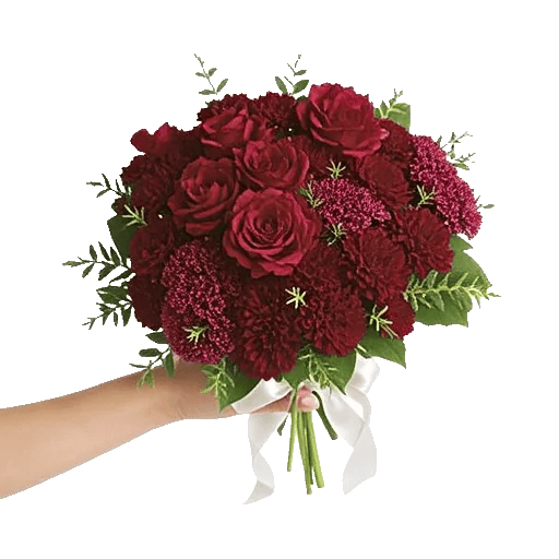 Deep Red Foliage