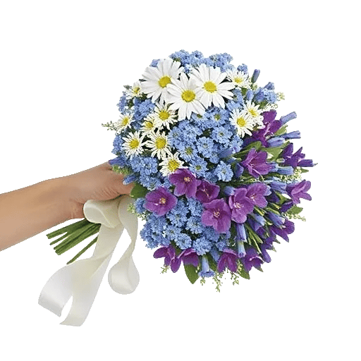 Delicate Petal Cascade