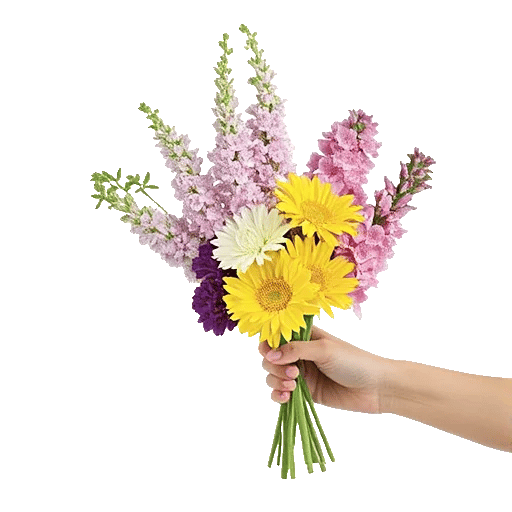 Blossom Harmony Display