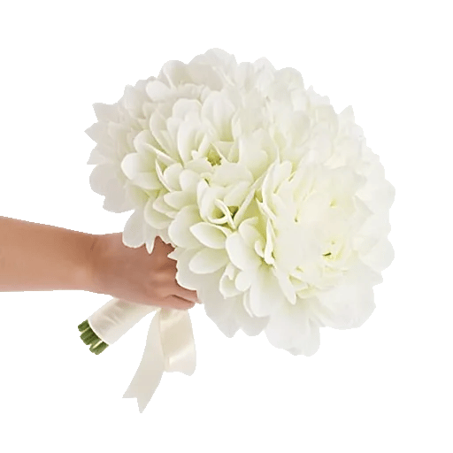 Ivory Blossom Radiance