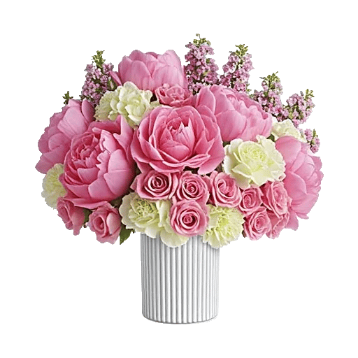 Petal Radiance Bliss