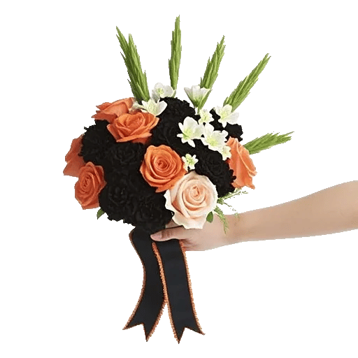 Blushing Rose Symphony