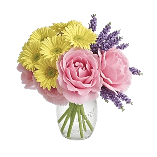 Petal Radiance Bliss