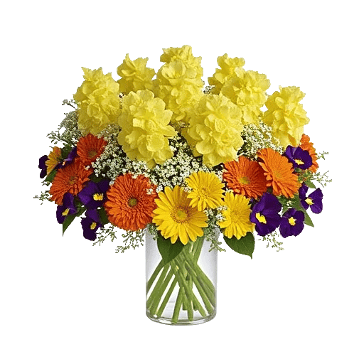 Petal Radiance Bliss