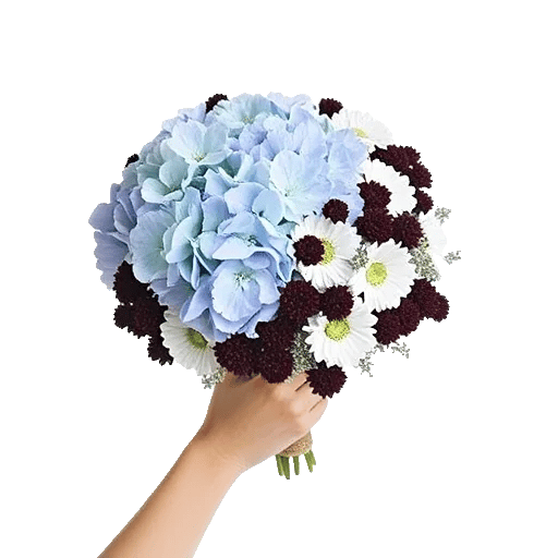 Sapphire Bloom Whisper