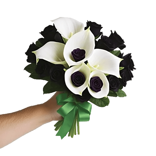 Elegant Calla Lilies