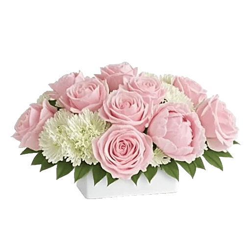 Delicate Petal Cascade