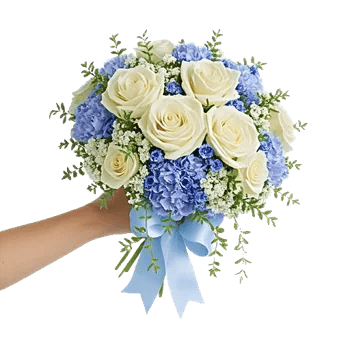 Serene Petal Harmony