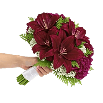 Crimson Lily Glow