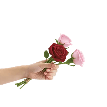 Crimson Rose Elegance