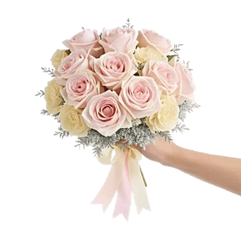 Pastel Pink Roses