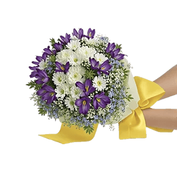 Delicate Petal Cascade