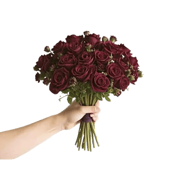 Gothic Dark Roses