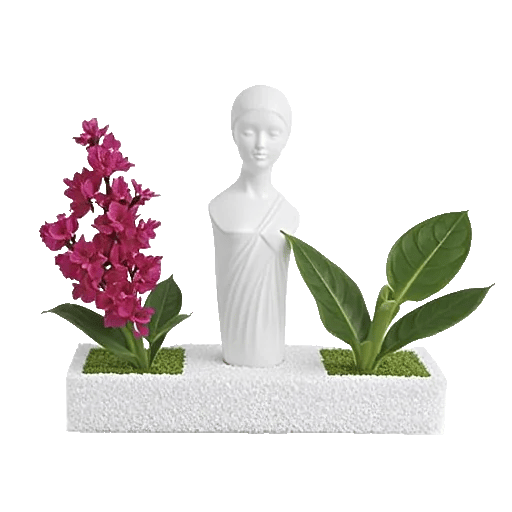 Serenity Orchid Bloom