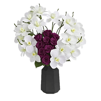 Modern White Orchids