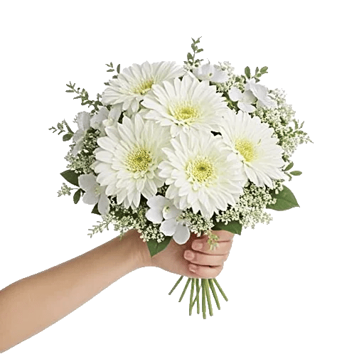 Minimalist White Orchids