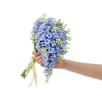 Delicate Petal Cascade