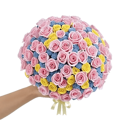 Blushing Rose Symphony