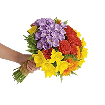 Blossom Petal Serenity