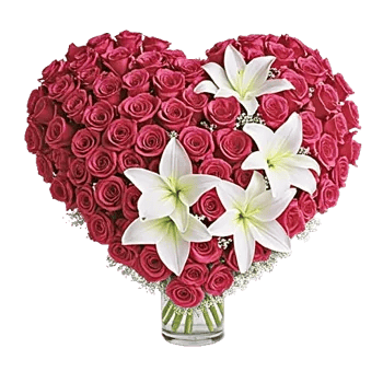 Radiant Rose Symphony