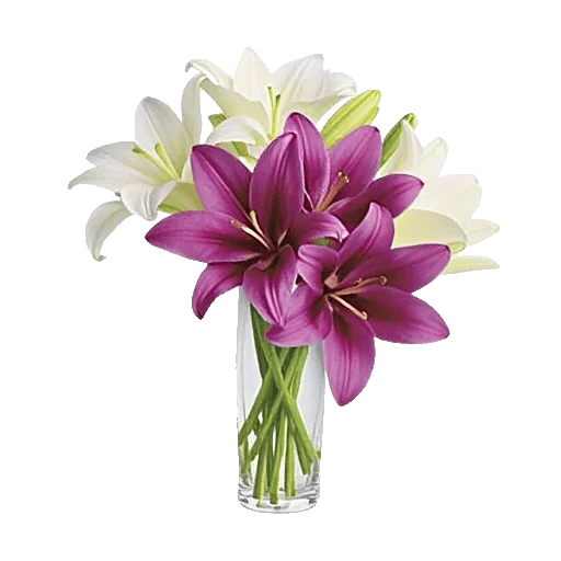 Graceful Lily Display