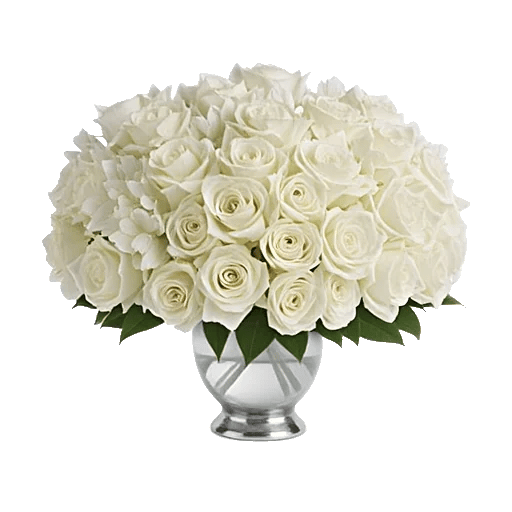 Ivory Blossom Radiance