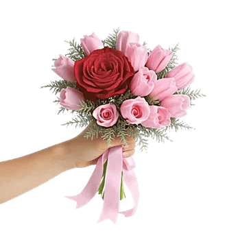 Delicate Petal Cascade