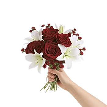 Crimson Rose Elegance