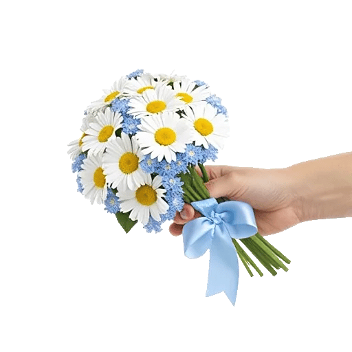 Enchanting Daisy Garden