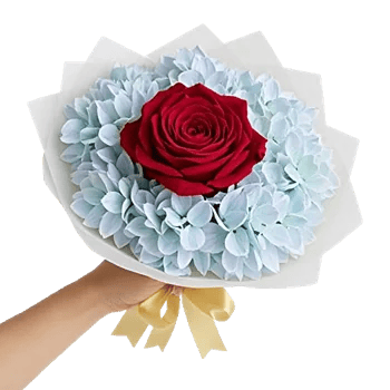 Crimson Rose Elegance