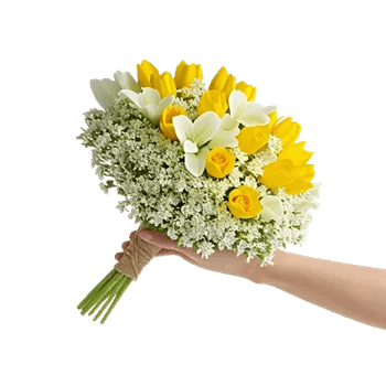 Blossom Harmony Display