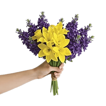 Blossom Harmony Display