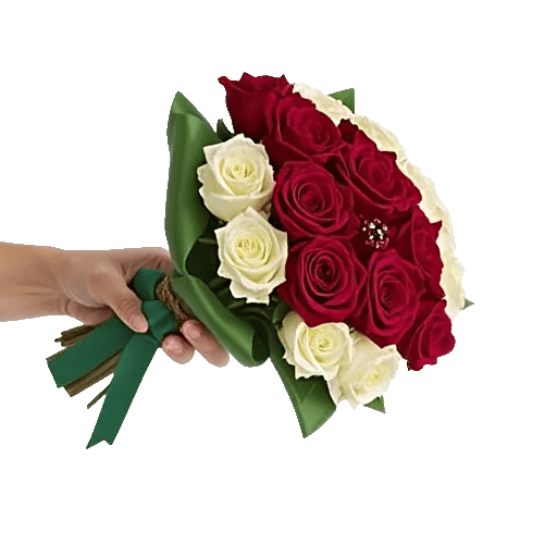 Crimson Rose Elegance