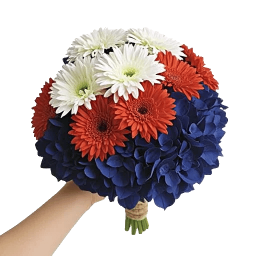 Serene Petal Harmony