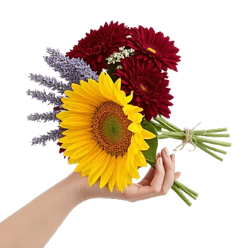 Twinkling Sunflower Dance