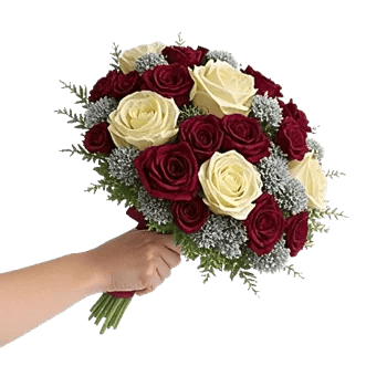 Crimson Rose Elegance