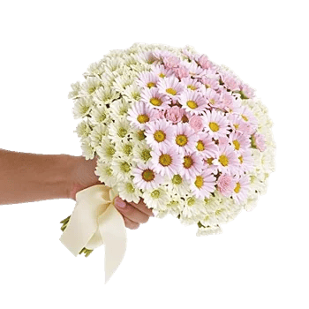 Blossom Harmony Display