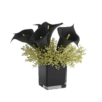 Elegant Calla Lilies