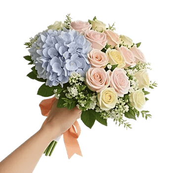 Serene Petal Harmony