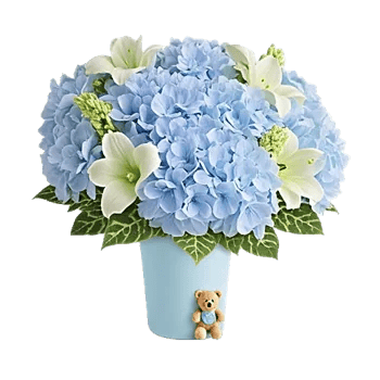 Serene Petal Harmony