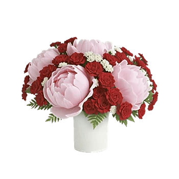 Petal Radiance Bliss