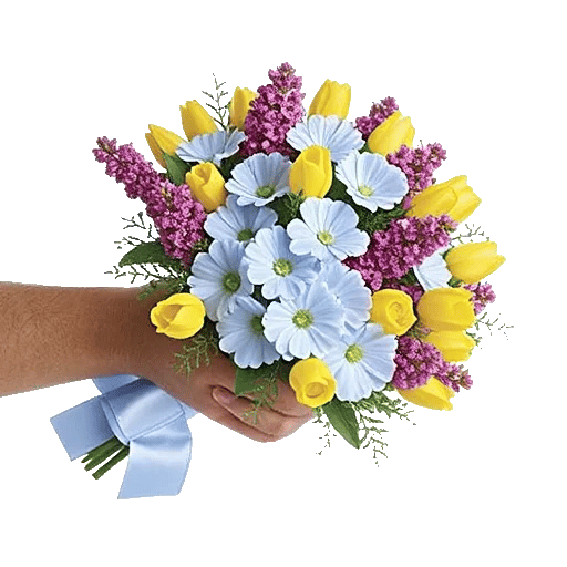 Sapphire Bloom Whisper