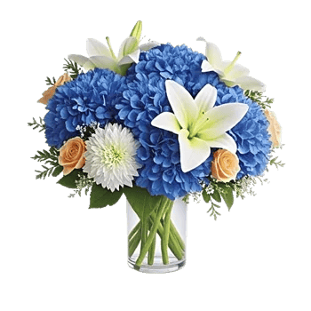 Azure Sky Blooms