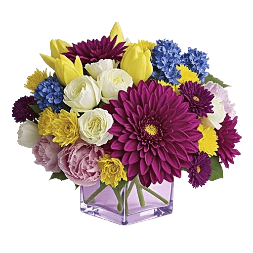 Petal Radiance Bliss
