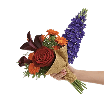 Crimson Rose Elegance