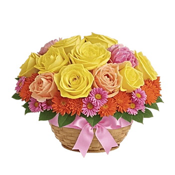 Blooming Orchard Splendor