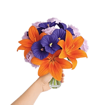 Petal Radiance Bliss